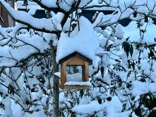 Gelukkig is het in het huisje droog 