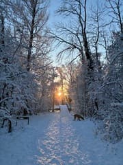 Prachtig plaatje in de sneeuw 