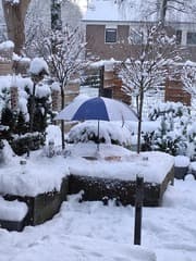 Ook aan onze gevleugelde vriendjes wordt aangedacht