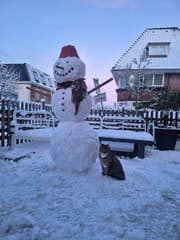 Bailey met de sneeuwpop