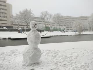 Sneeuwpop in Amsterdam 