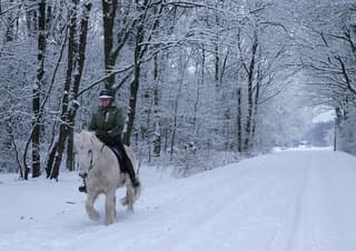 IJslander in de sneeuw 