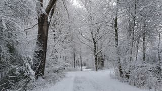 Winter in Nieuwegein 