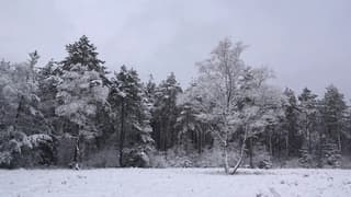 Winterse rust in zwart wit