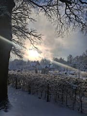 Middagzon in Schothorsterbos 