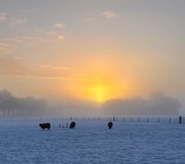 Doorbrekend zonnetje