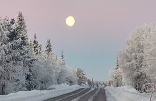 de lucht kleurt roze in Zweeds Lapland bij -34°C, terwijl de maan knipoogjes geeft!