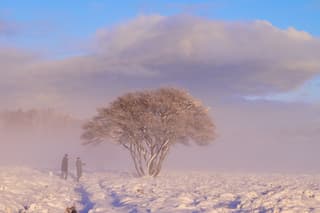 Opkomende sneeuwbuien.