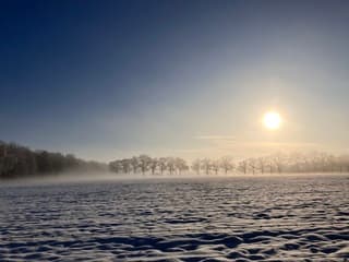 Mist sneeuw zon 