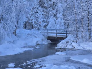 Levi Lapland
