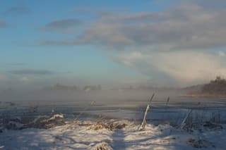 winter