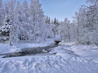 Fins Lapland