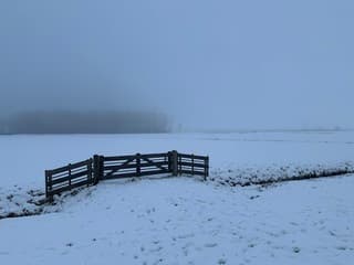 Mistig sneeuwlandschap
