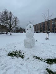 Sneeuwpret in Delft