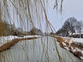 Kleur in de sneeuw