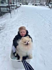 Kyan Samen met zijn hondje in de sneeuw 