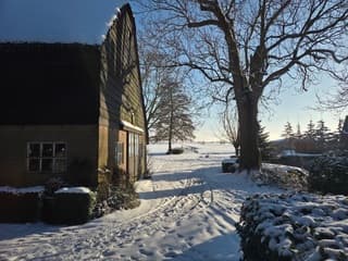 Sneeuwlandschap