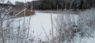 Winter foto Vlagtwedde, GR