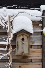 Sneeuw vogelhuisje 