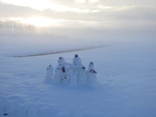 een fijne familie, genietend van de sneeuw