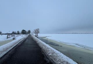 Weilanden onder sneeuw
