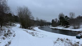 Witte Ochtend in de duinen 