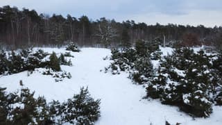Overloon onder een witte deken eerste sneeuw
