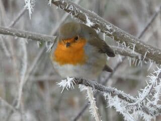 Winters weer in Nederland 