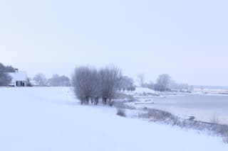 IJsseldijk bij Welsum 