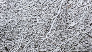 mondriaan in de winter