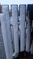 Hekje wit vrijdagochtend!