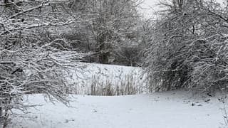 Sneeuw………veel sneeuw. 