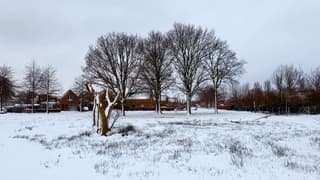 Sneeuw……..veel sneeuw. 