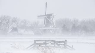 Driftsneeuw 