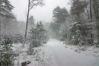 Holterberg 7 januari