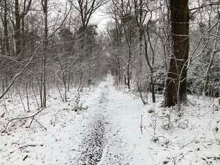 Prachtig weer met sneeuw en een mooie wit landschap in Ons Brunssum hier de weerfoto s