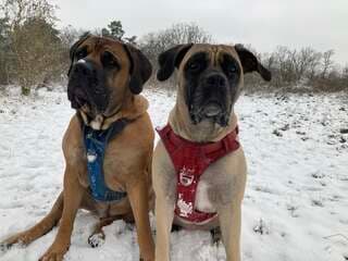 Prachtig weer met sneeuw en een mooie wit landschap in Ons Brunssum hier de weerfoto s