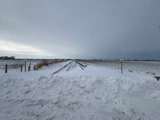 Sneeuwduinen