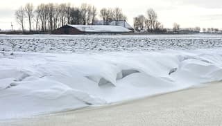 Sneeuwduinen 2-3 meter