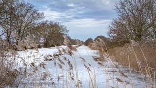 Koude en straffe wind.