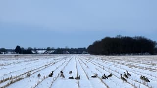 Wachten op betere tijden