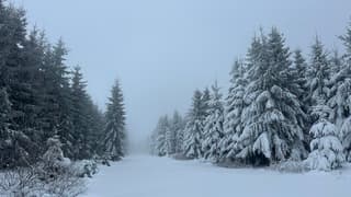 Scandinavisch sneeuwlandschap in de Ardennen bij Sourbrodt