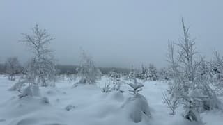 Spectaculair sneeuwlandschap in de Ardennen
