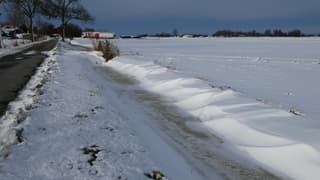 Sneeuwduinen 