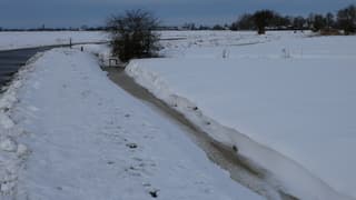 Sneeuwduinen 
