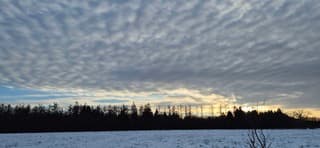 De Strubben-Kniphorstbosch