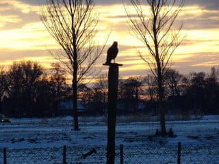 Sneeuw foto  met een mooi lucht er bij