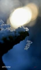 De abseilende ijs muis