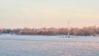 Koude ochtend, strenge vorst