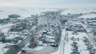 Burdaard in de ochtend 
